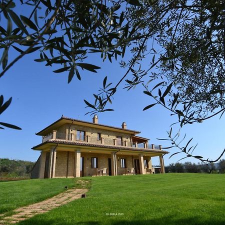 Il Casale degli Ulivi Affittacamere Gradoli Esterno foto