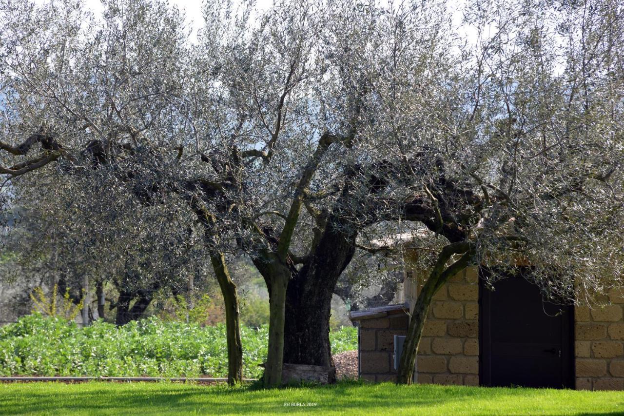 Il Casale degli Ulivi Affittacamere Gradoli Esterno foto