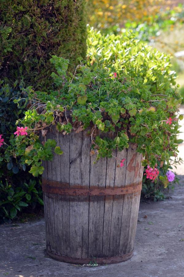 Il Casale degli Ulivi Affittacamere Gradoli Esterno foto